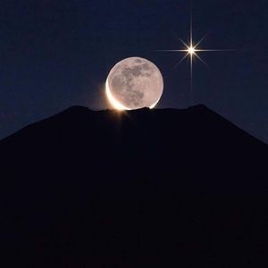 Meet your Posher, Joanie